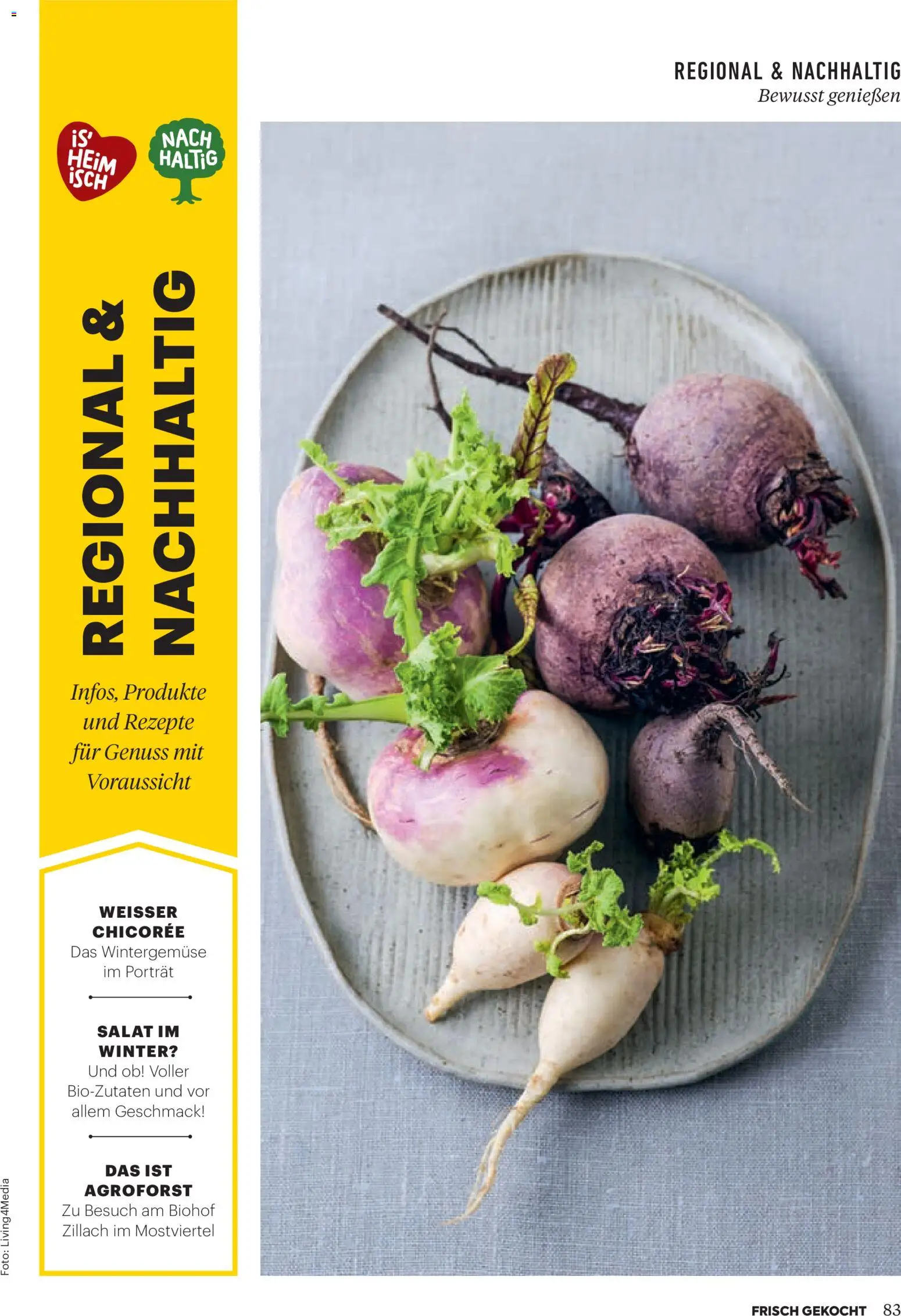 Billa  Frisch Gekocht gültig ab 01.01.2026 | Seite: 79 | Produkte: Salat