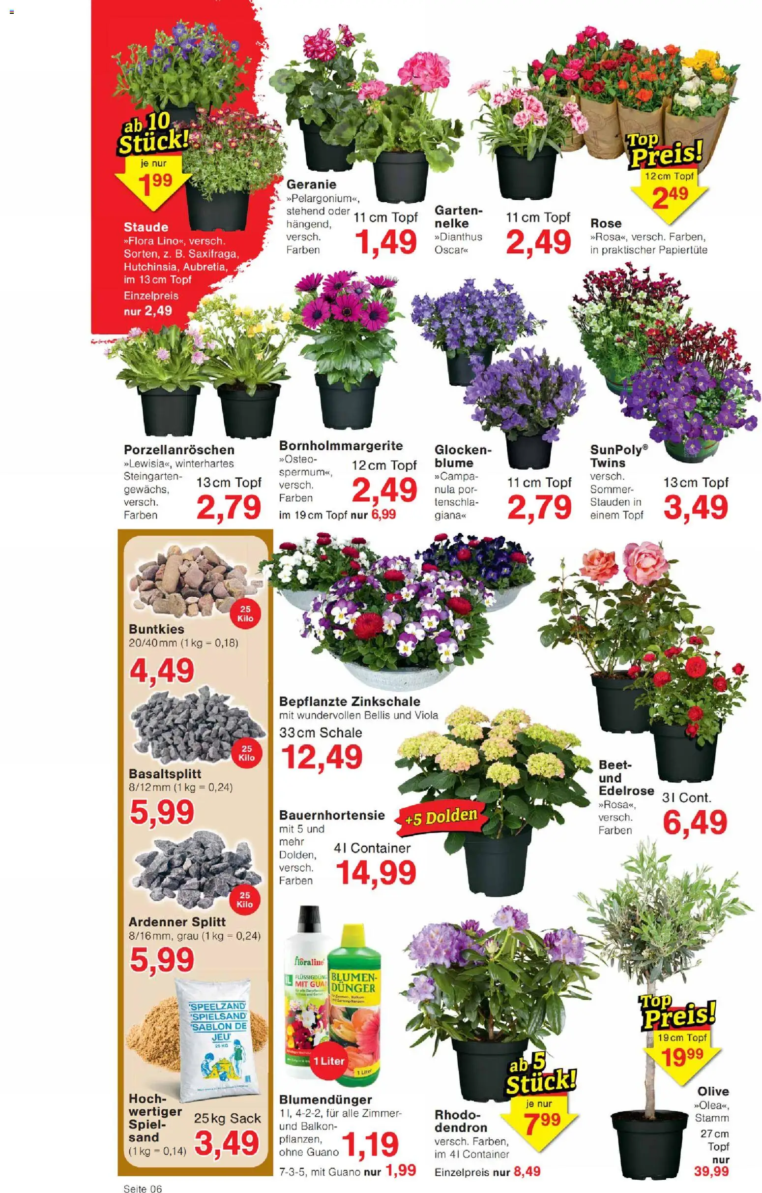 Wiglo Wunderland Prospekt – gültig ab 30.03.2026 | Seite: 6 | Produkte: Spiel, Blumen