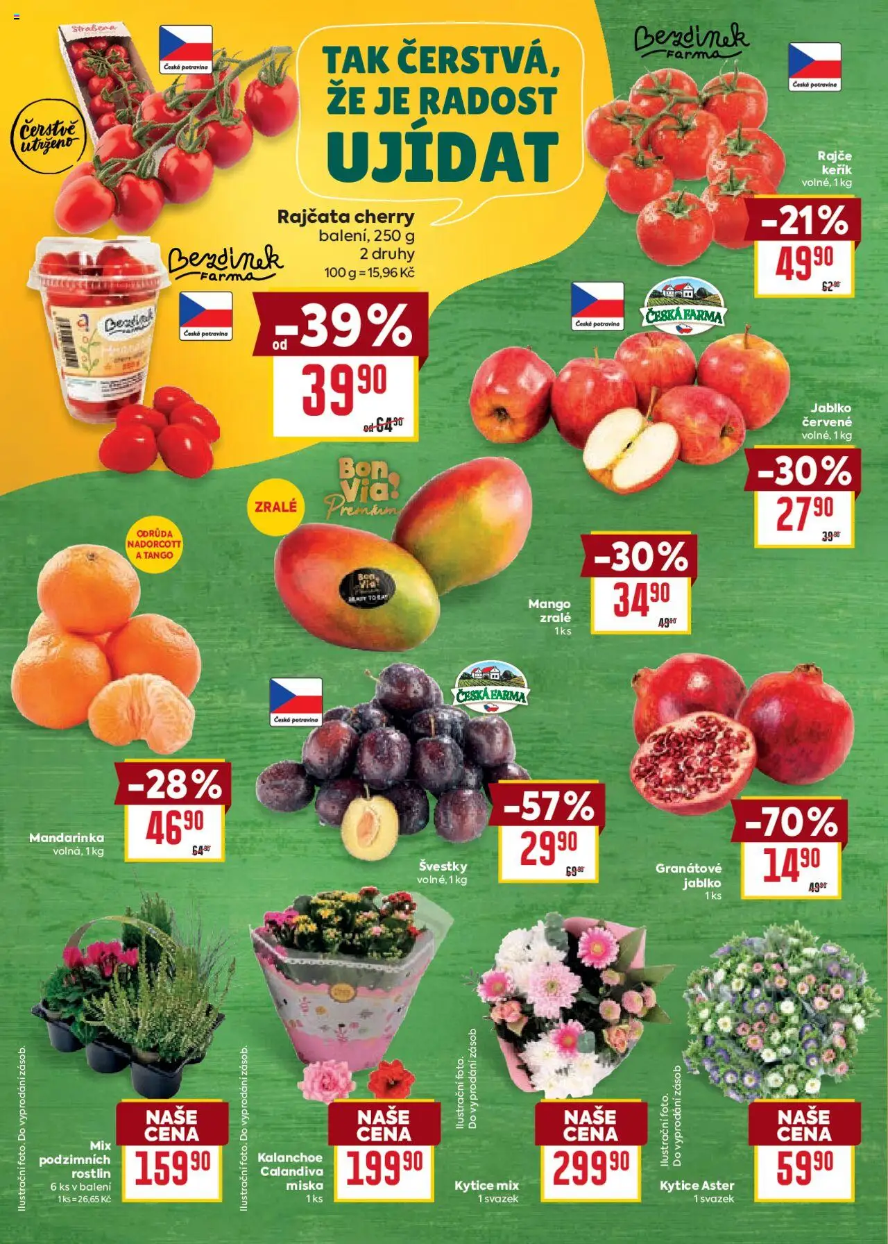 Billa Velký leták od 24.09.2025 | Strana: 2 | Produkty: Kalanchoe, Mango, Miska, Kytice