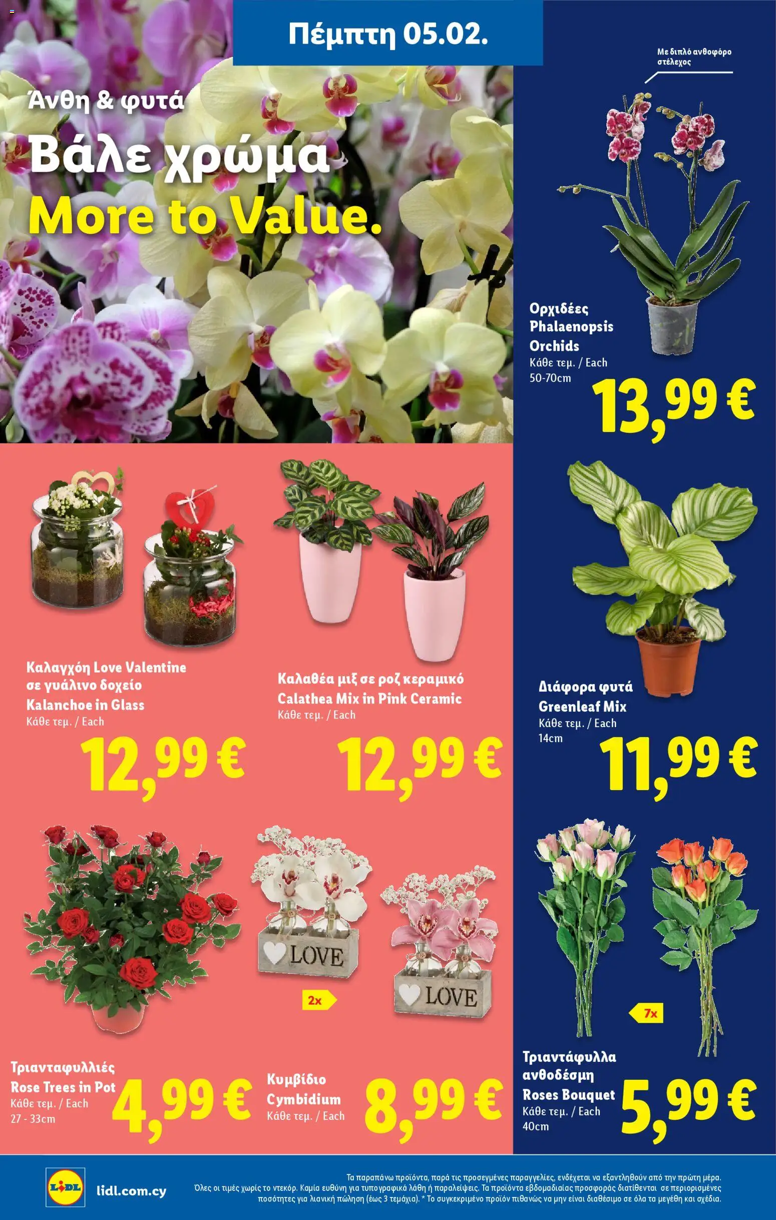 Lidl - Φυλλάδιο – σε ισχύ από 05.02.2026 | Σελίδα: 46