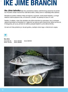 Metro riba i plodovi mora - pregled Metro kataloga - važi od 10.12.2025 | Strana: 16 | Proizvode: Brancin, Riba