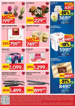 Roda katalog - pregled Roda kataloga - važi od 05.03.2026 | Strana: 32