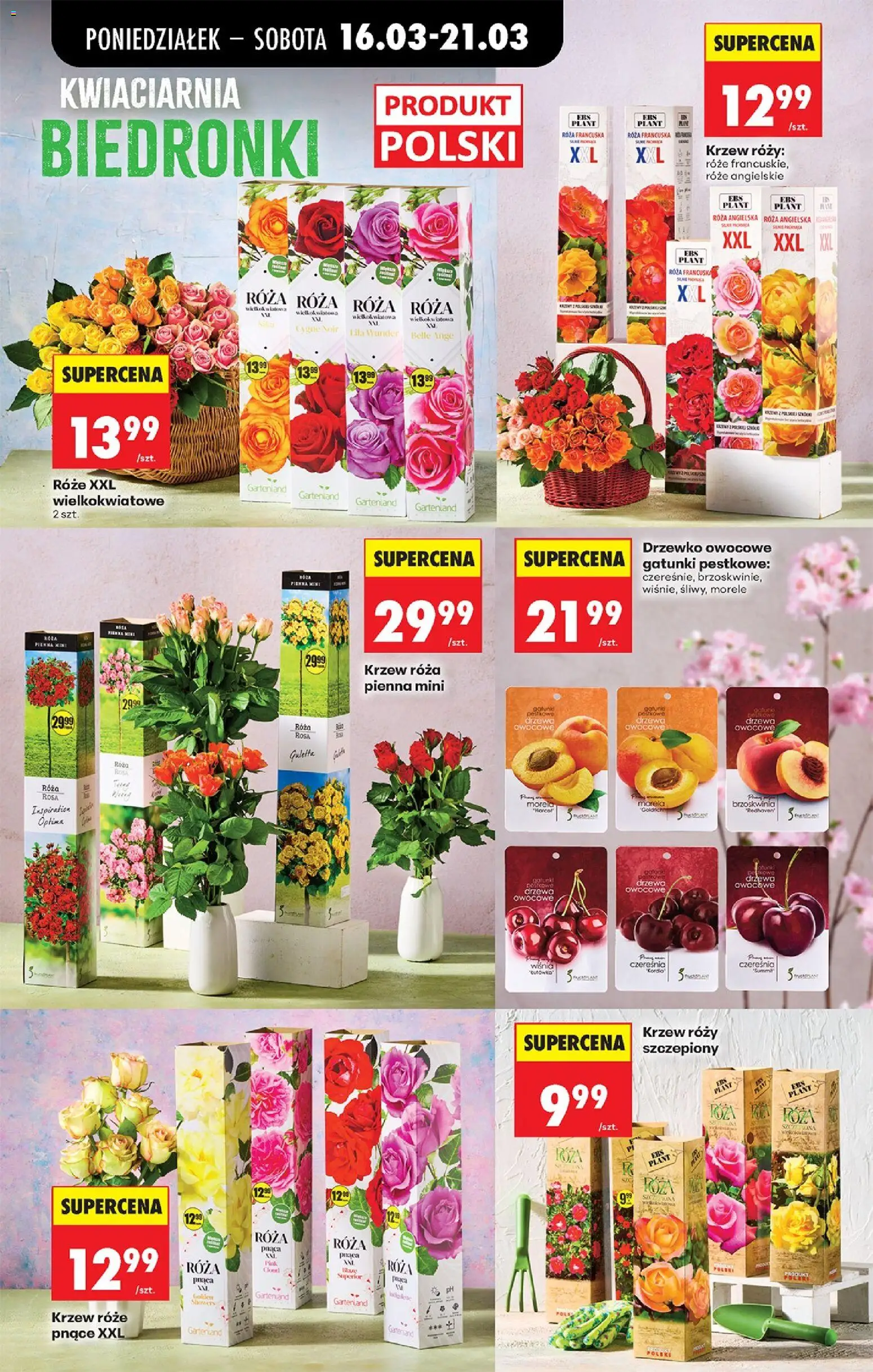 Biedronka Polsko leták od 16.03.2026 | Strana: 79