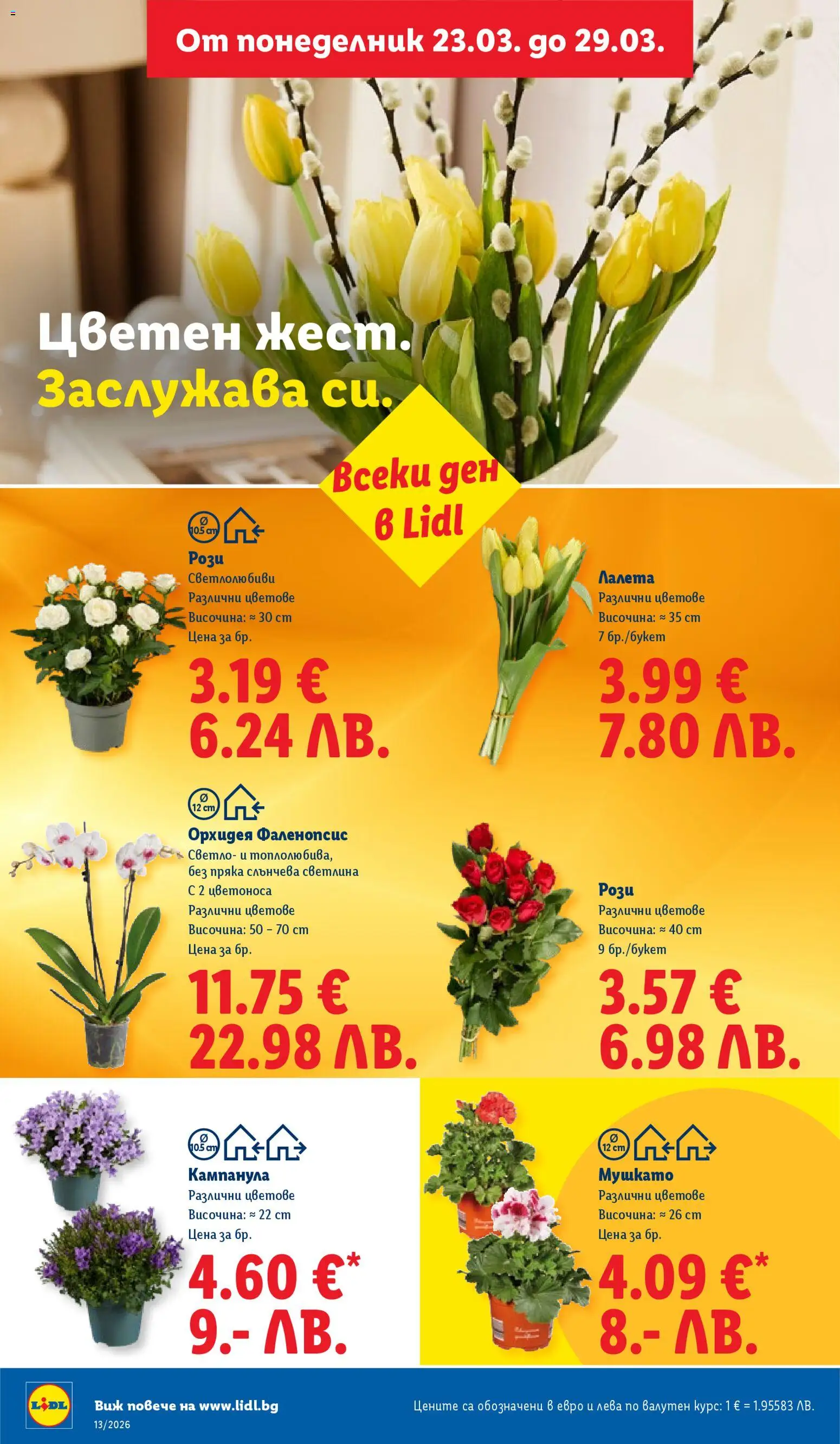 {H1} | Страница: 48 | Продукти: Орхидея