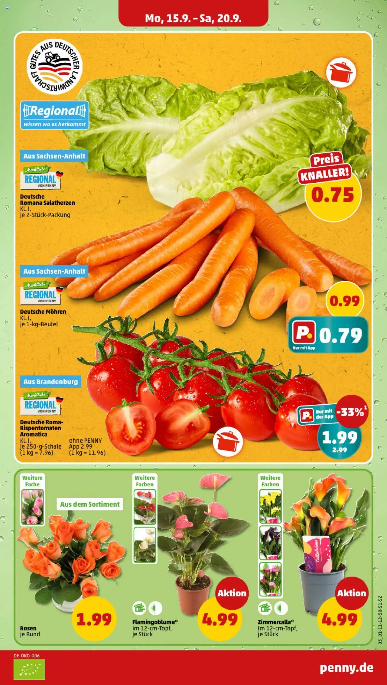 Penny Prospekt 	 – gültig ab 15.09.2025 | Seite: 3 | Produkte: Mohren