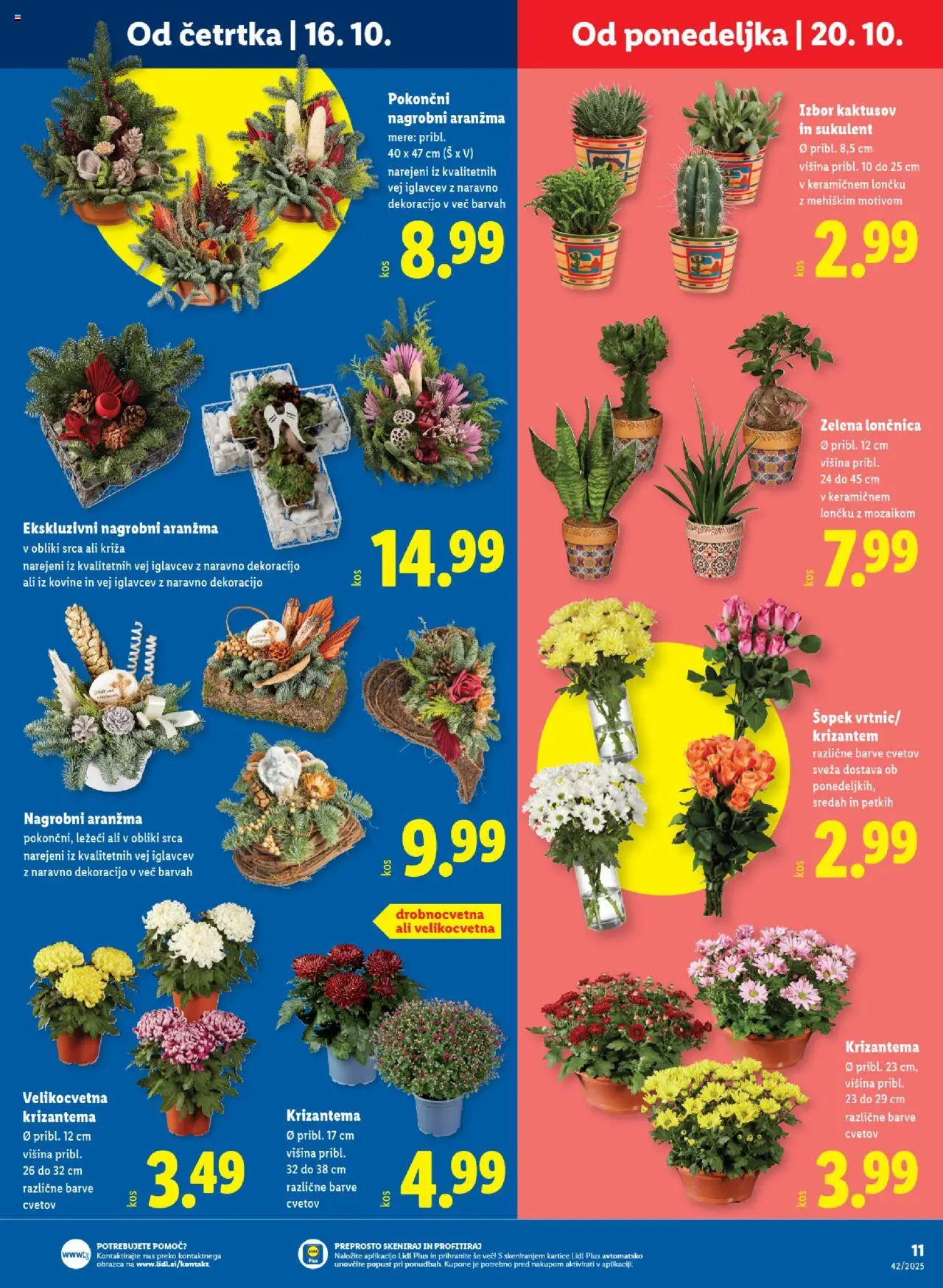 Novi Lidl katalog ponudbe – veljaven od 16.10.2025 | Stran: 15 | Izdelki: Šopek, Zelena