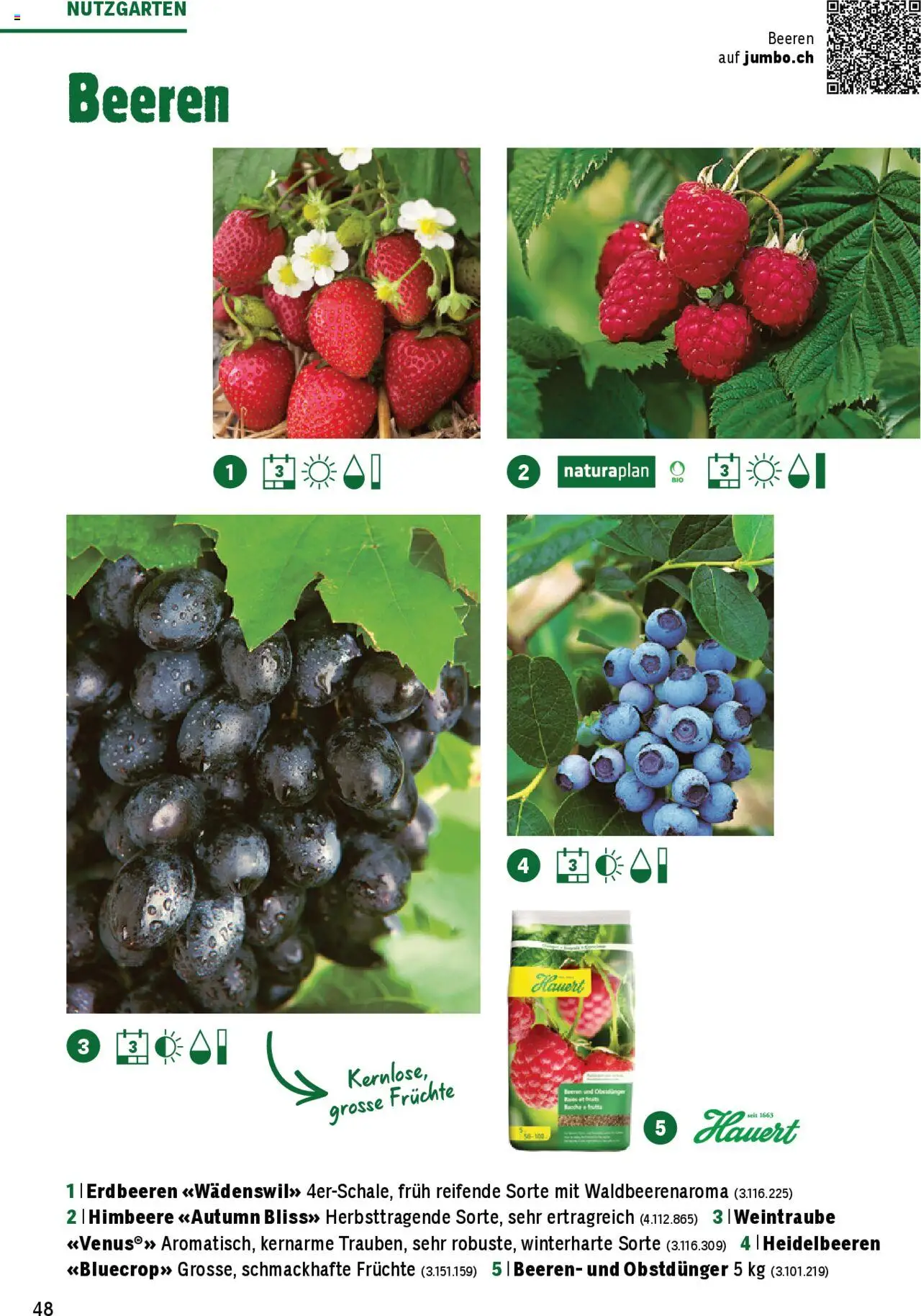Jumbo Aktionen Dein Garten 2025 ab 21.02.2025 | Seite: 48 | Produkte: Erdbeeren, Himbeere, Früchte