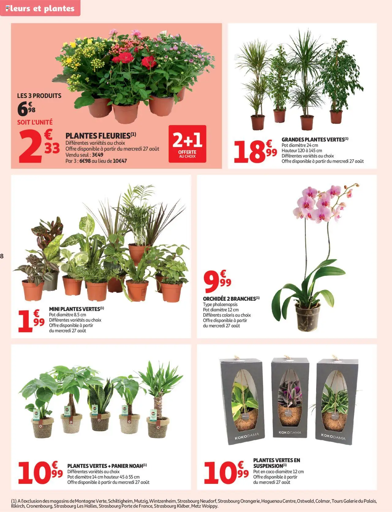  | Page: 8 | Produits: Plantes, Porte, Orchidée, Panier