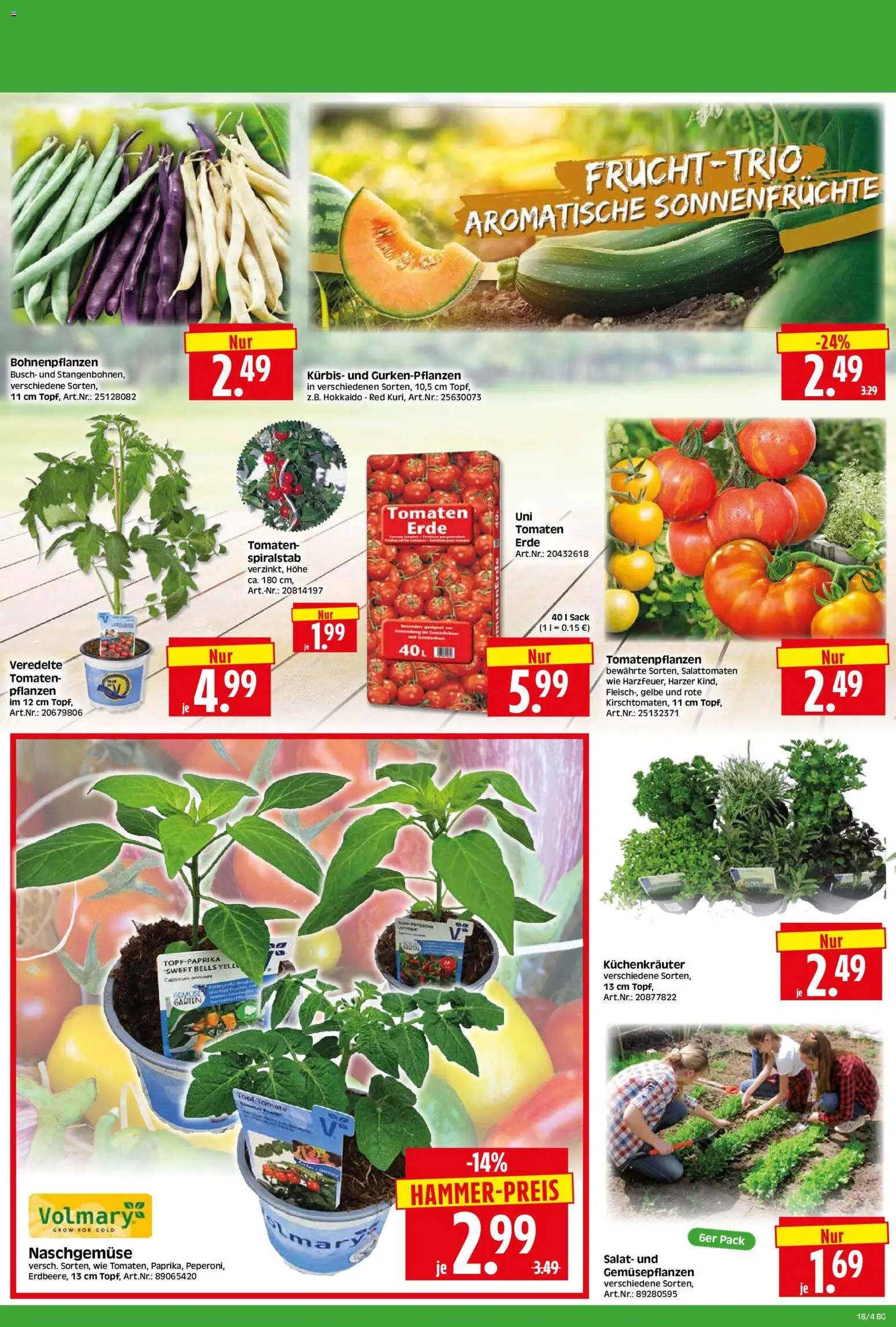 HERKULES Bau & Garten – gültig ab 27.04.2026 | Seite: 4 | Produkte: Tomaten, Kürbis, Salat