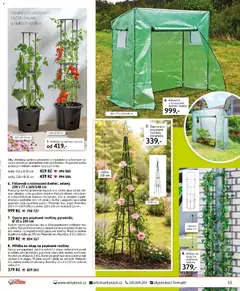 Náhled letáku Velký Košík katalog březen 2026 od 01.03.2026 | Strana: 53 | Produkty: Rajčata, Fóliovník, Trubka, Květináč