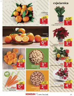 BIO ZONE MRKVA, pakirana, 500g - Pregled kataloga iz trgovine Konzum, vrijedi od 03.12.2025 | Stranica: 21 | Proizvodi: Grah, Mrkva, Indijski orah, Orah