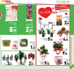 Anteprima del volantino FICHI PULLED VENTURA, Pulled figs, confezione 250 g valido a partire dal 29.01.2026 | Pagina: 15