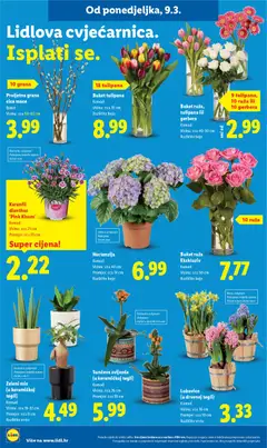 Katalog Lidl - Pregled kataloga iz trgovine Lidl, vrijedi od 09.03.2026 | Stranica: 50