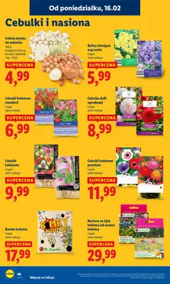 Pogląd oferty "Lidl Gazetka" - ważna od 16.02.2026 | Strona: 48 | Produkty: Nasiona, Dywan, Kwiaty