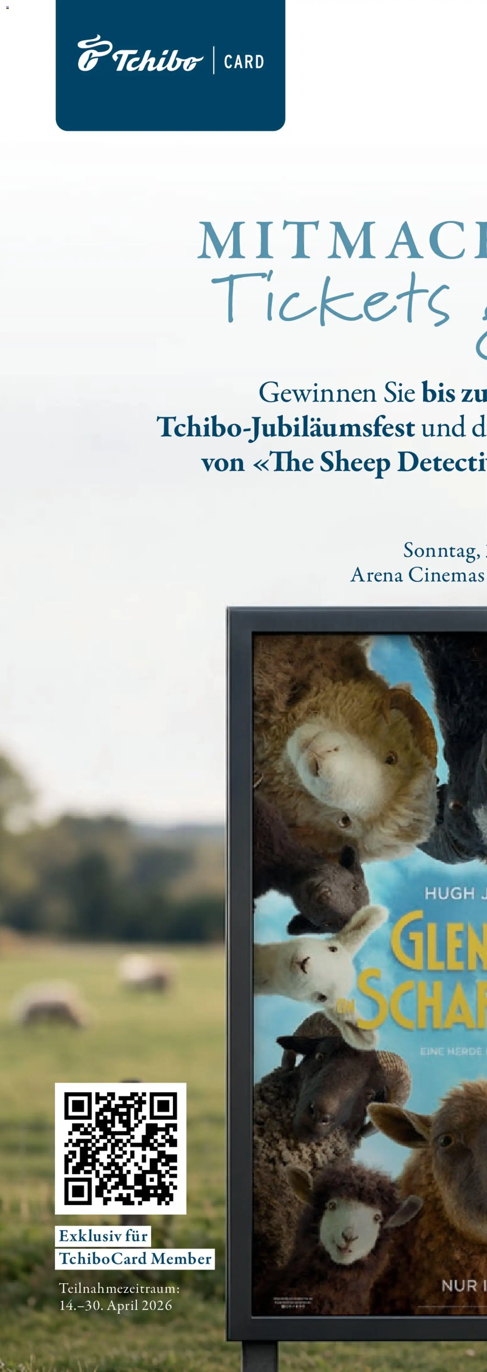 Tchibo aktionen Comfort – gültig ab 21.04.2026 | Seite: 30 | Produkte: Schal