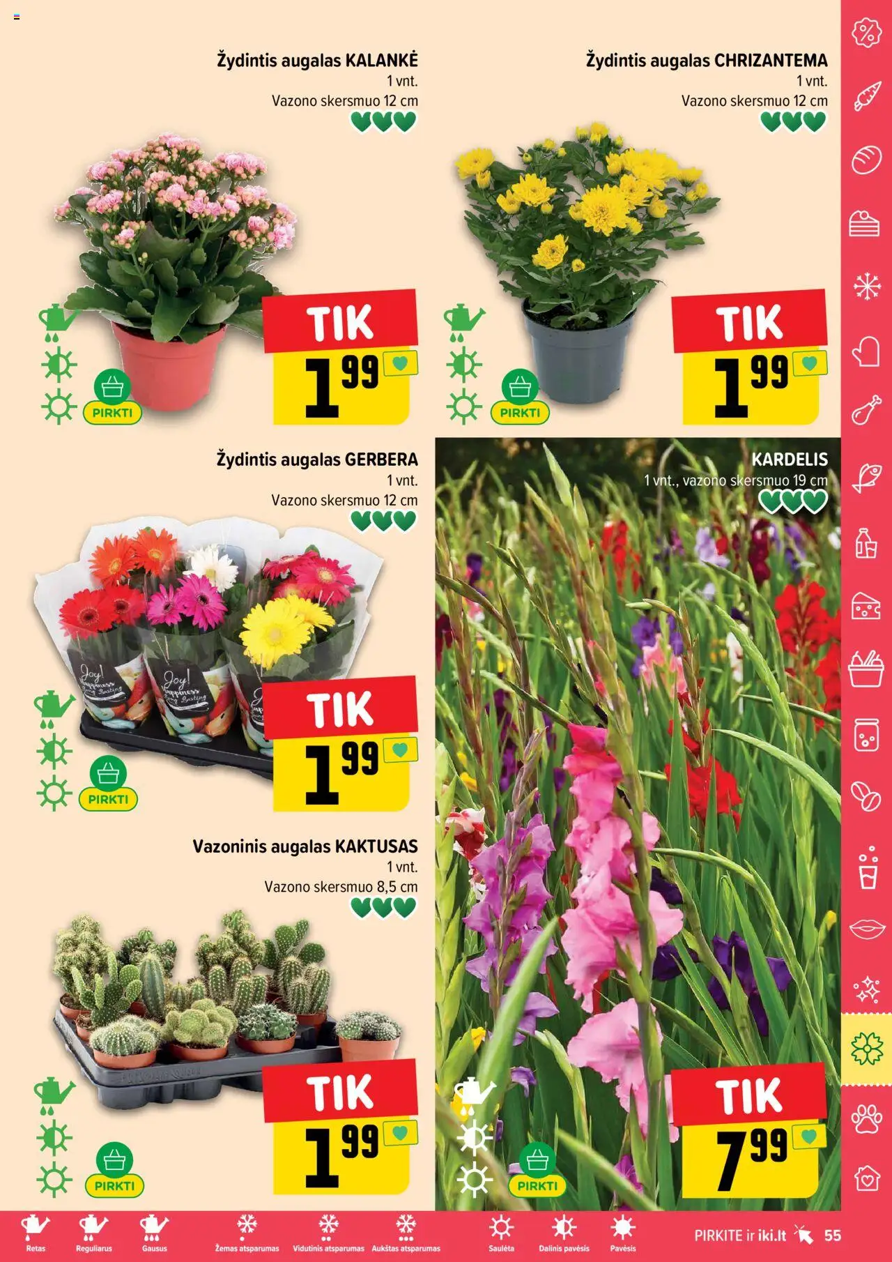 IKI - Leidinys│galioja nuo 04.08.2025 | Puslapis: 55