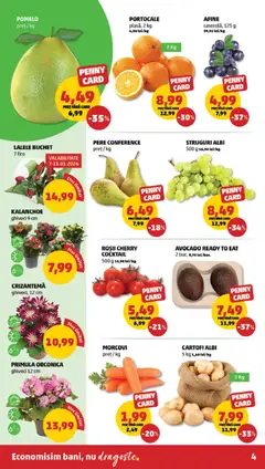 Ofertele PENNY valabile de la 07.01.2026 | Pagină: 4 | Produse: Afine, Ghiveci, Roșii, Avocado