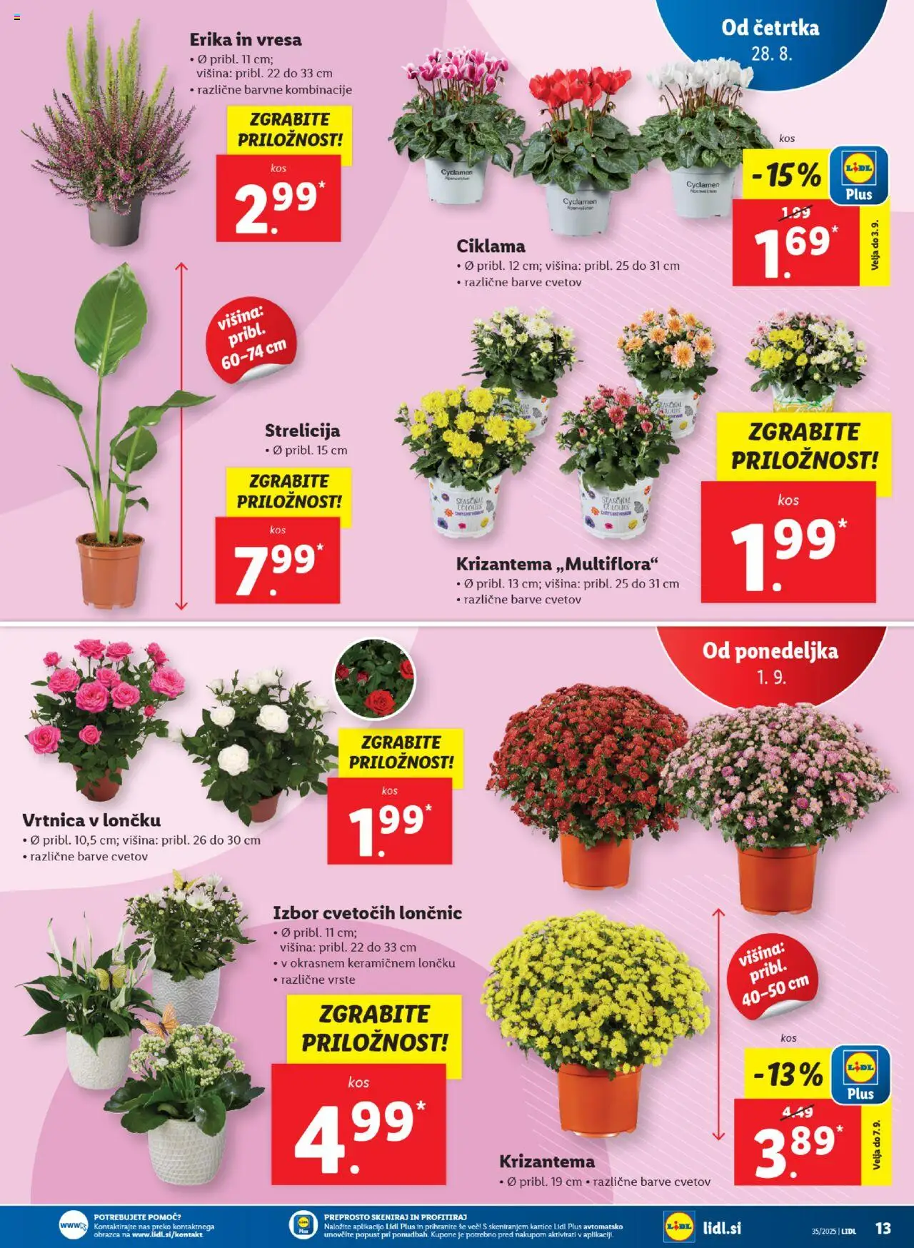 Lidl katalog │ velja od 28.08.2025 | Stran: 31