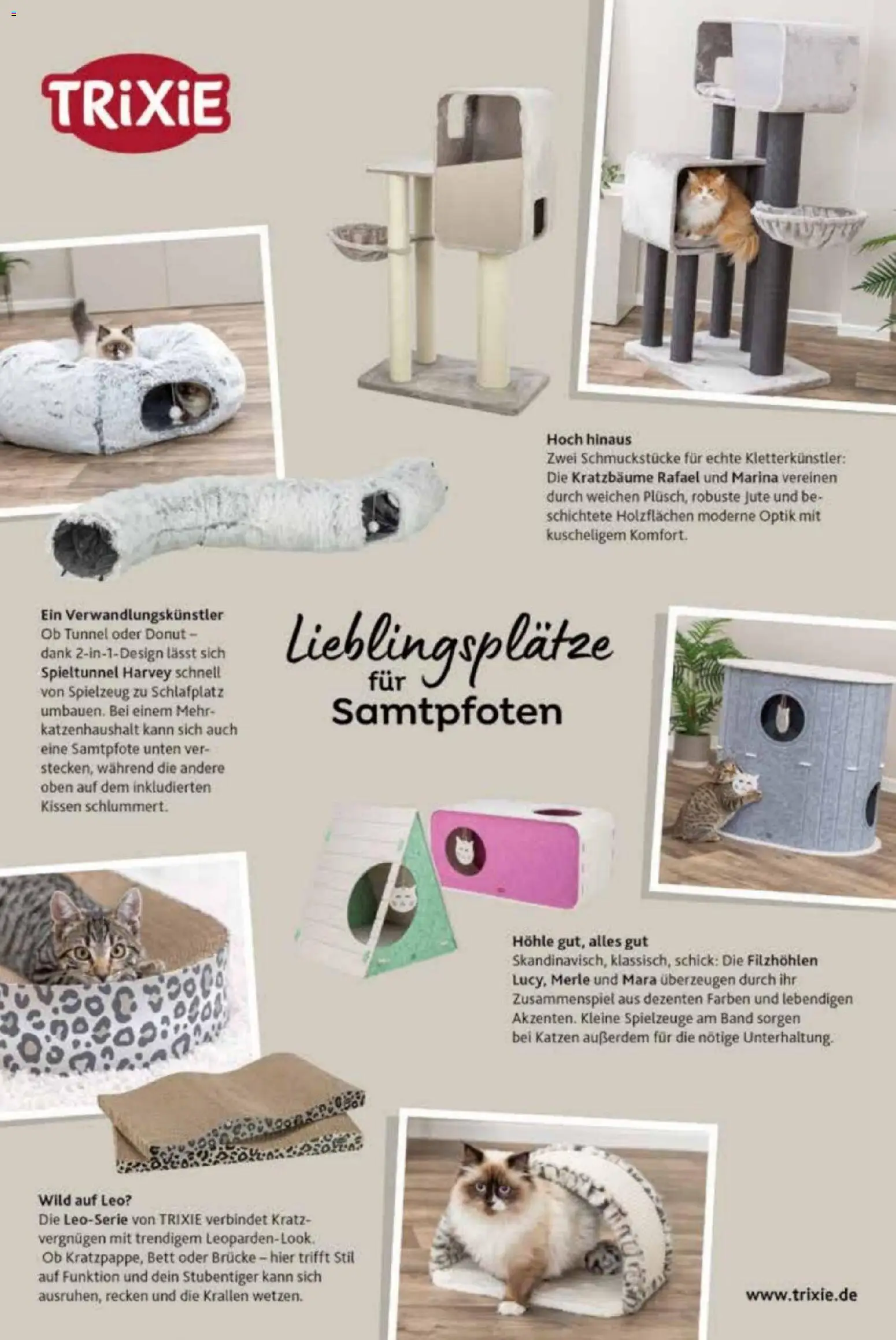 zookauf Heimtier Journal – gültig ab 01.04.2026 | Seite: 56 | Produkte: Bett, Kissen