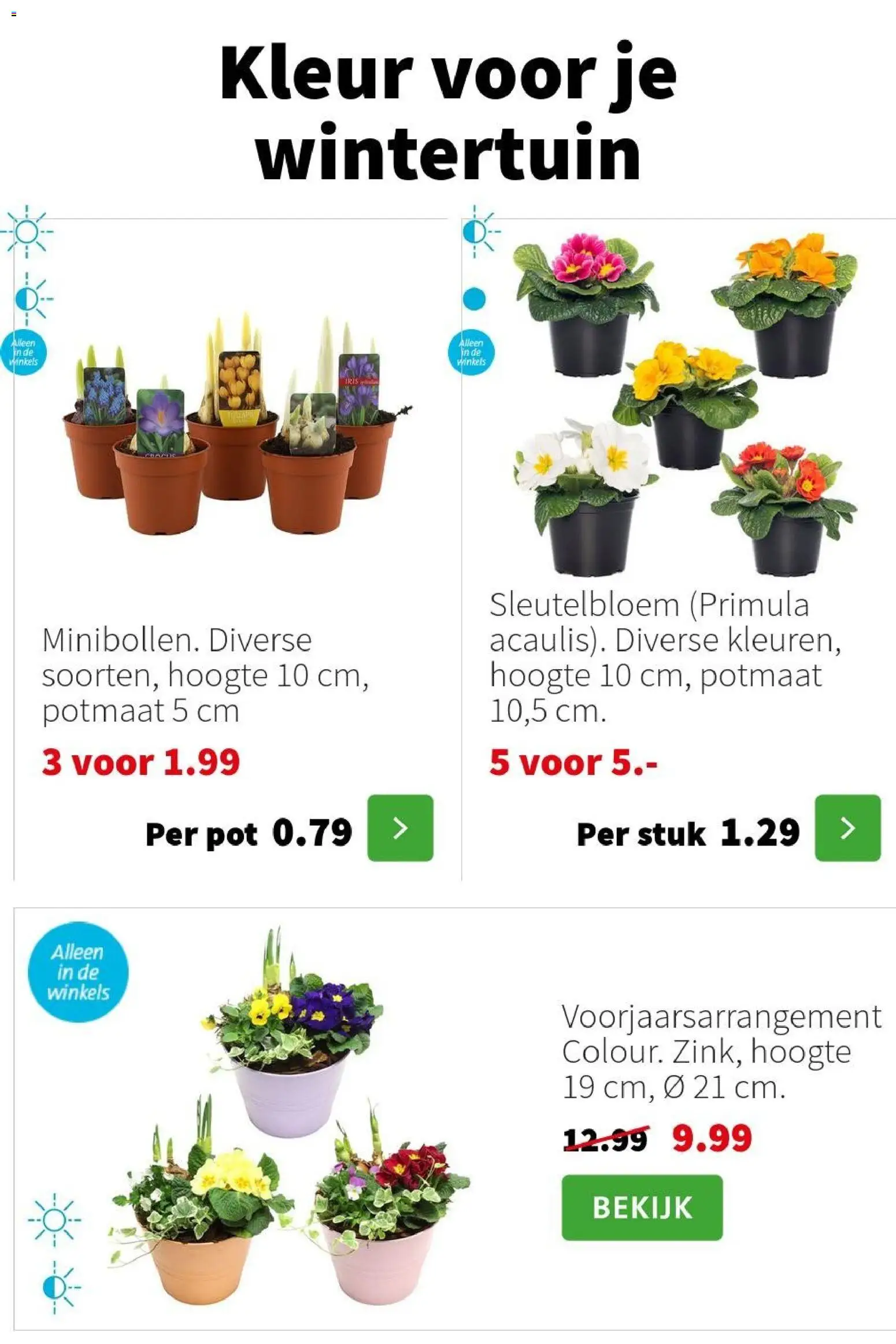 {H1} | Pagina: 7 | Producten: Pot