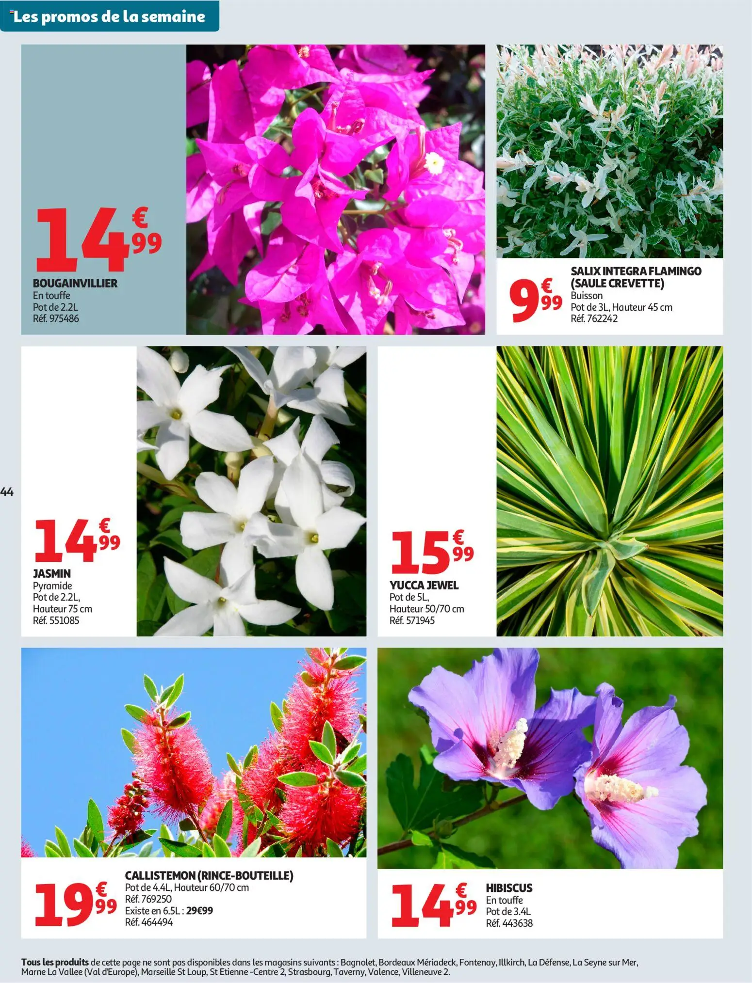 {H1} | Page: 48 | Produits: Crevette, Bougainvillier