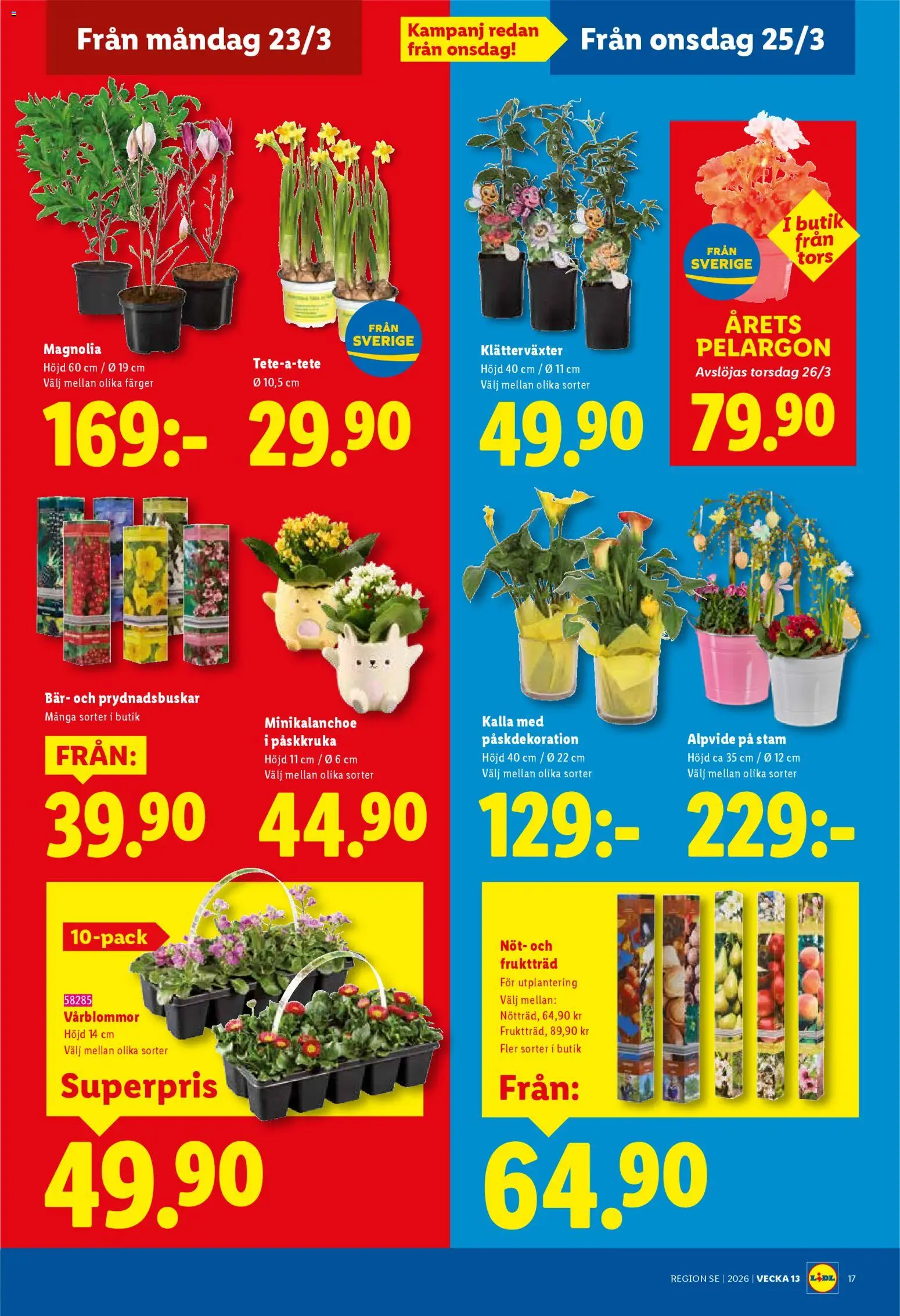 Lidl reklamblad aktuell från 23.03.2026 | Sida: 19 | Produkter: Pelargon, Fruktträd