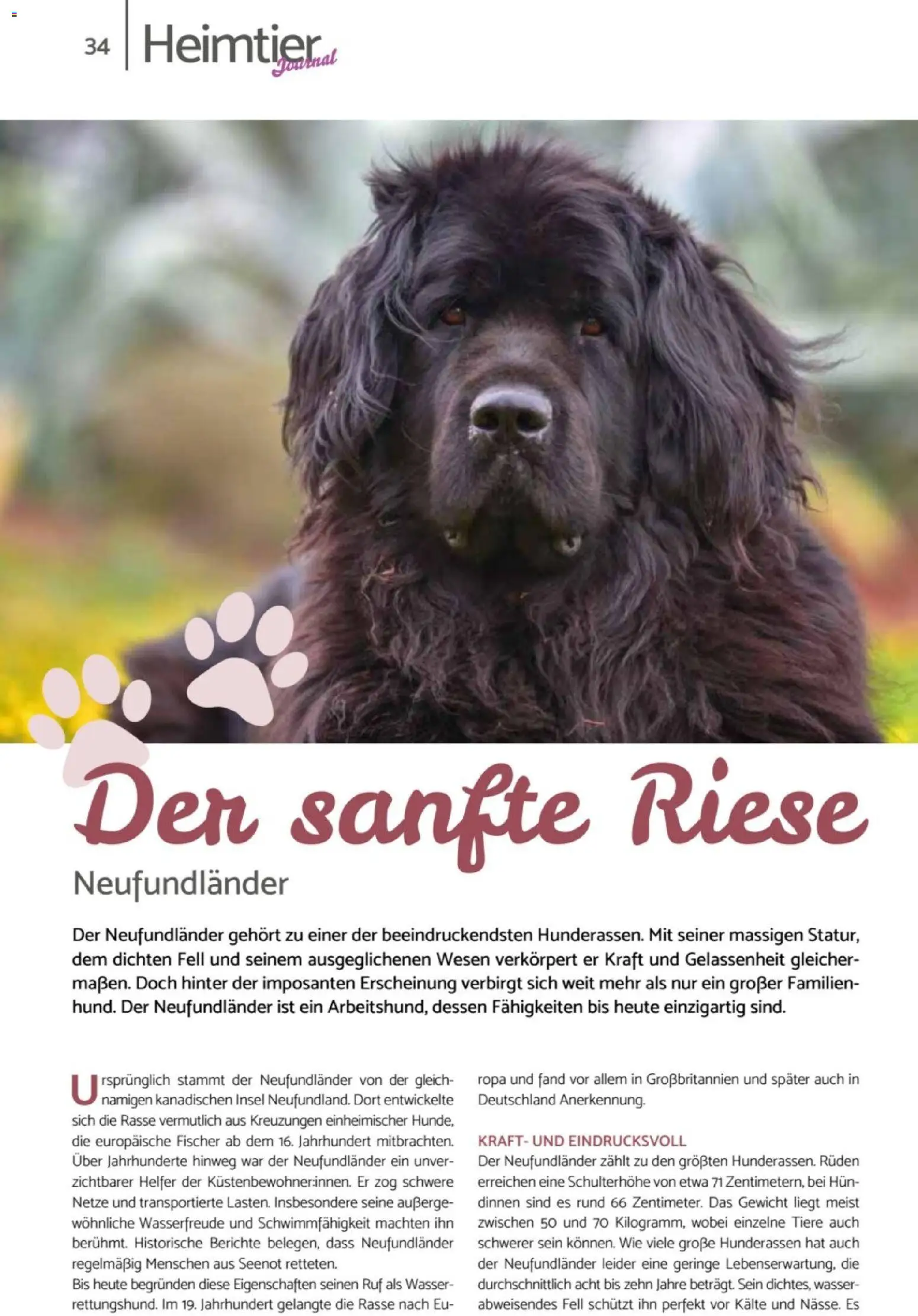 zookauf Heimtier Journal – gültig ab 01.04.2026 | Seite: 34 | Produkte: Gewicht, Wasser