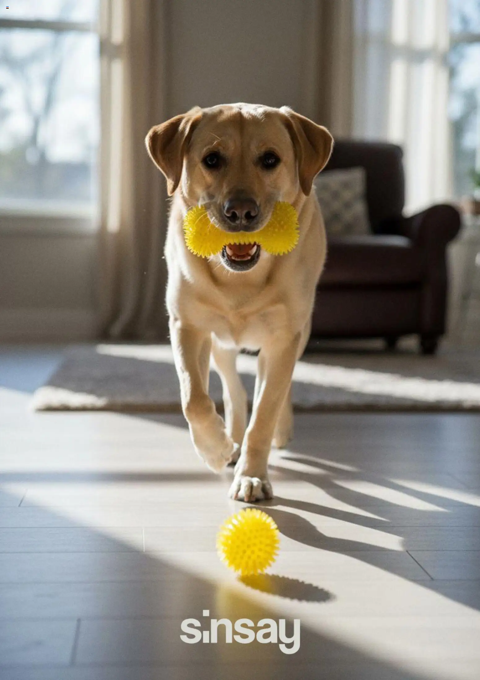 Nové Sinsay akcie – leták je platný od 14.04.2026 | Strana: 5
