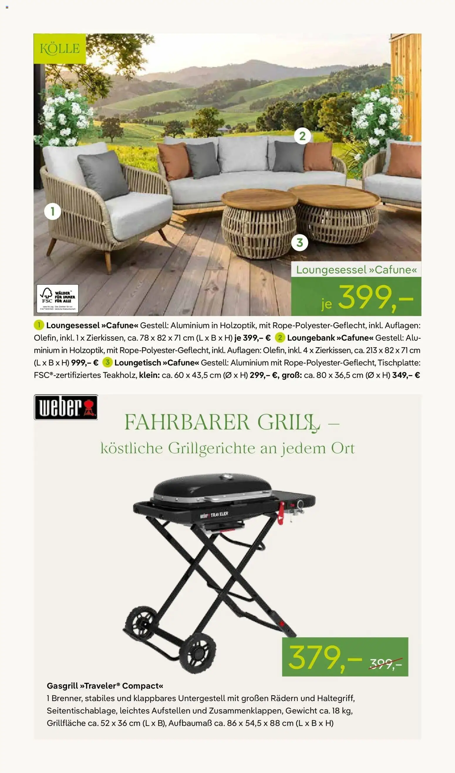 Pflanzen-Kölle Frühlingsfreude – gültig ab 13.04.2026 | Seite: 13