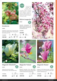 Náhled letáku Starkl katalog od 25.02.2026 | Strana: 41