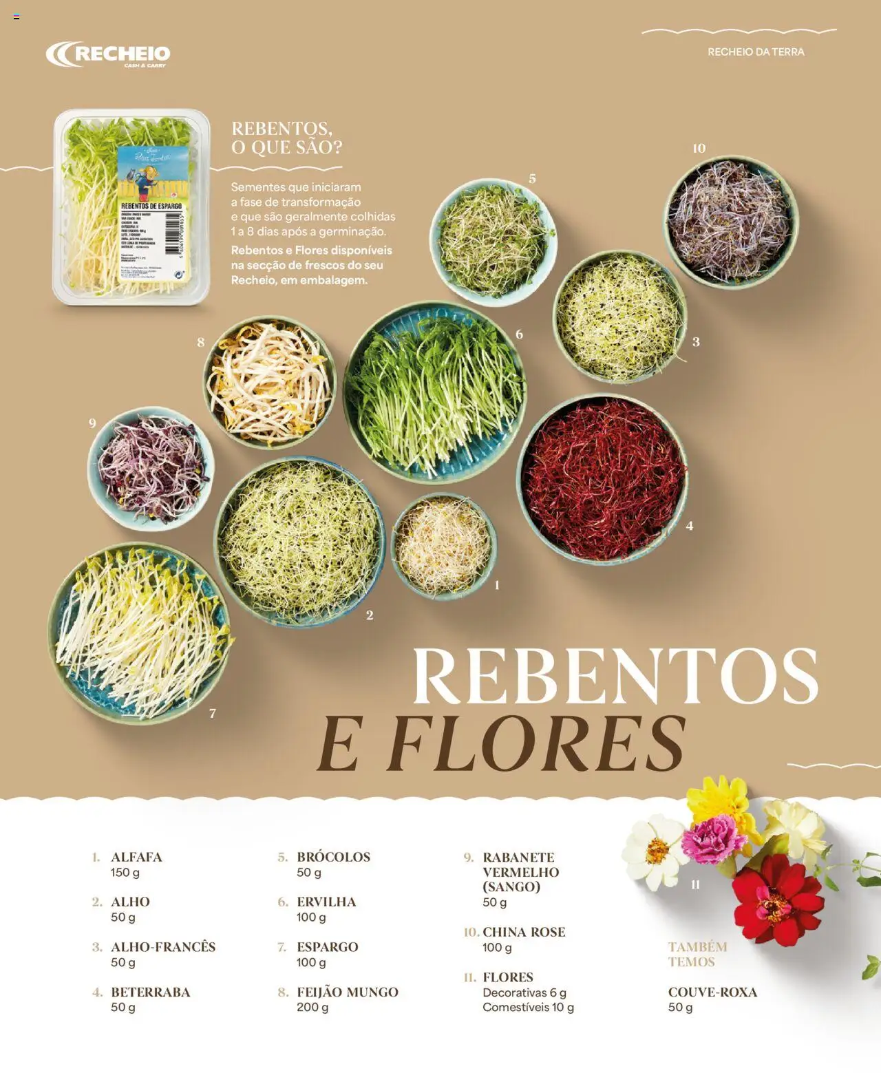 Recheio - Recheio da Terra │ válido de 25.09.2025 | Página: 34 | Produtos: Brócolos, Ervilha, Flores, Beterraba