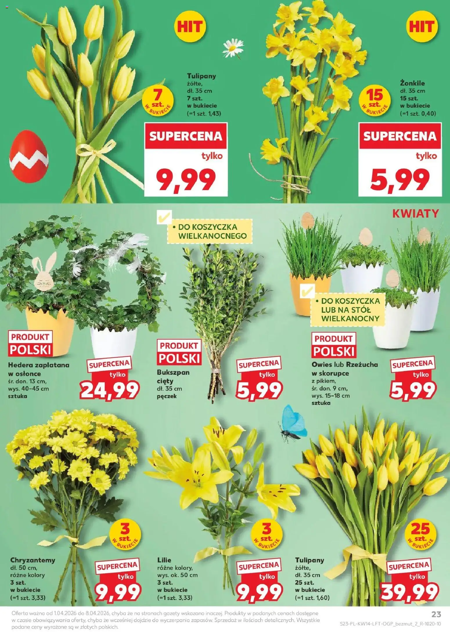 Kaufland gazetka od 01.04.2026 | Strona: 23 | Produkty: Chryzantemy, Stół, Tulipany, Kwiaty