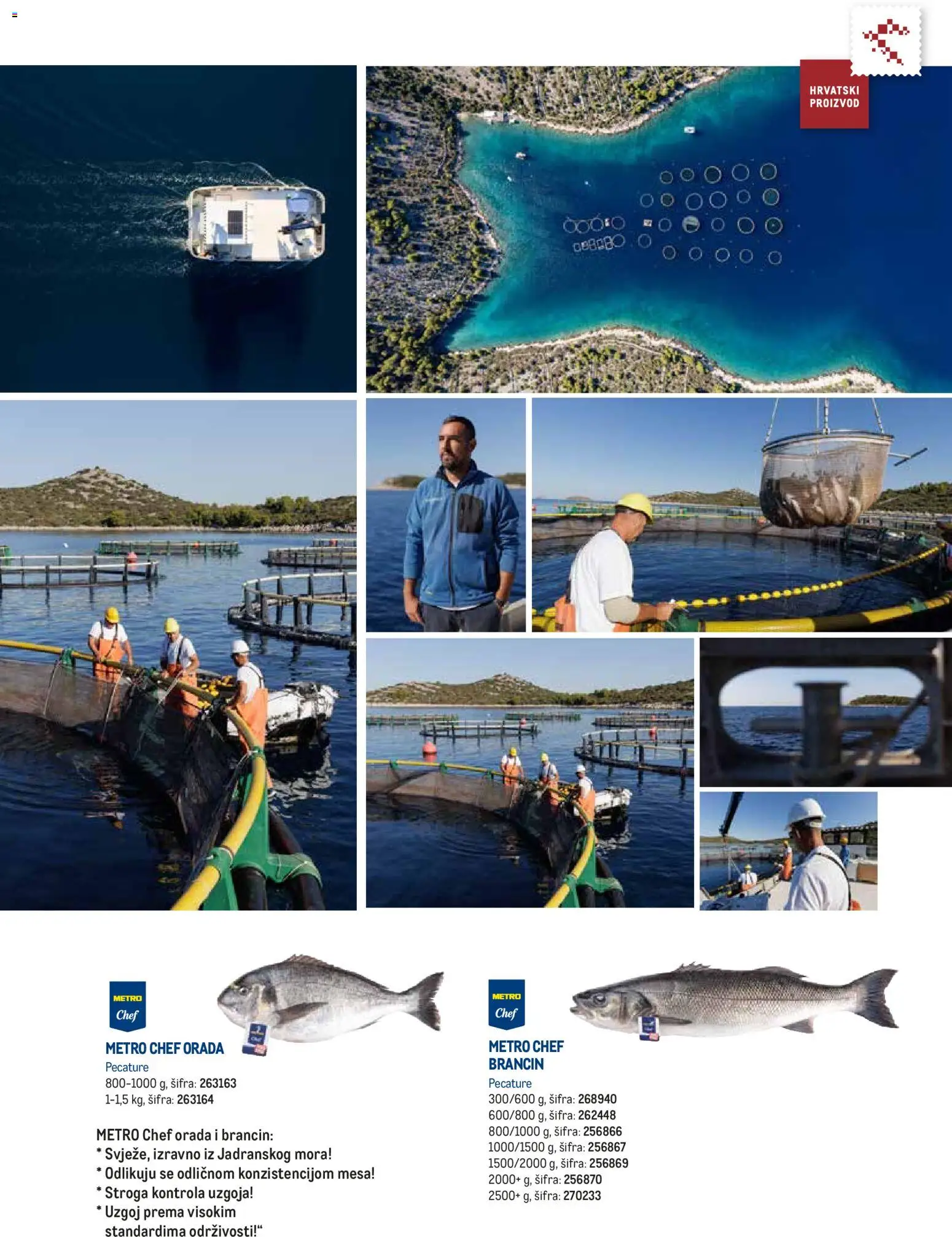 Metro katalog | vrijedi od 10.02.2026 | Stranica: 13