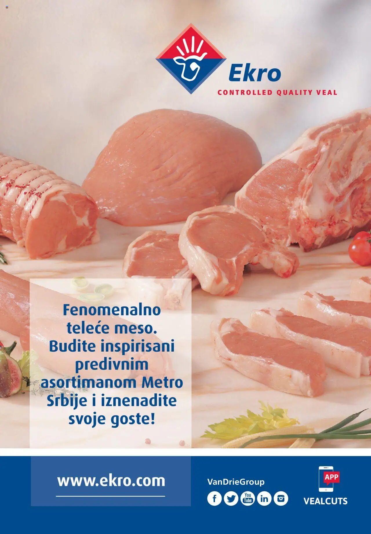 Metro katalog - važi od 11.11.2024 | Strana: 30