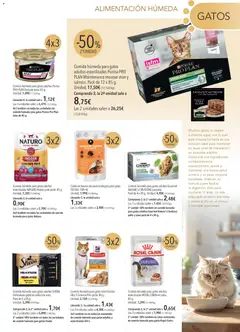 Vista previa El Corte Inglés ofertas válido desde el 01.02.2026 | Página: 13