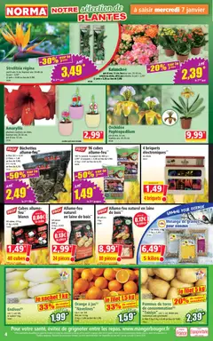 Norma - Prévisualisation de Norma catalogue valide à partir de 07.01.2025 | Page: 4 | Produits: Orange, Plantes, Orchidée, Pommes