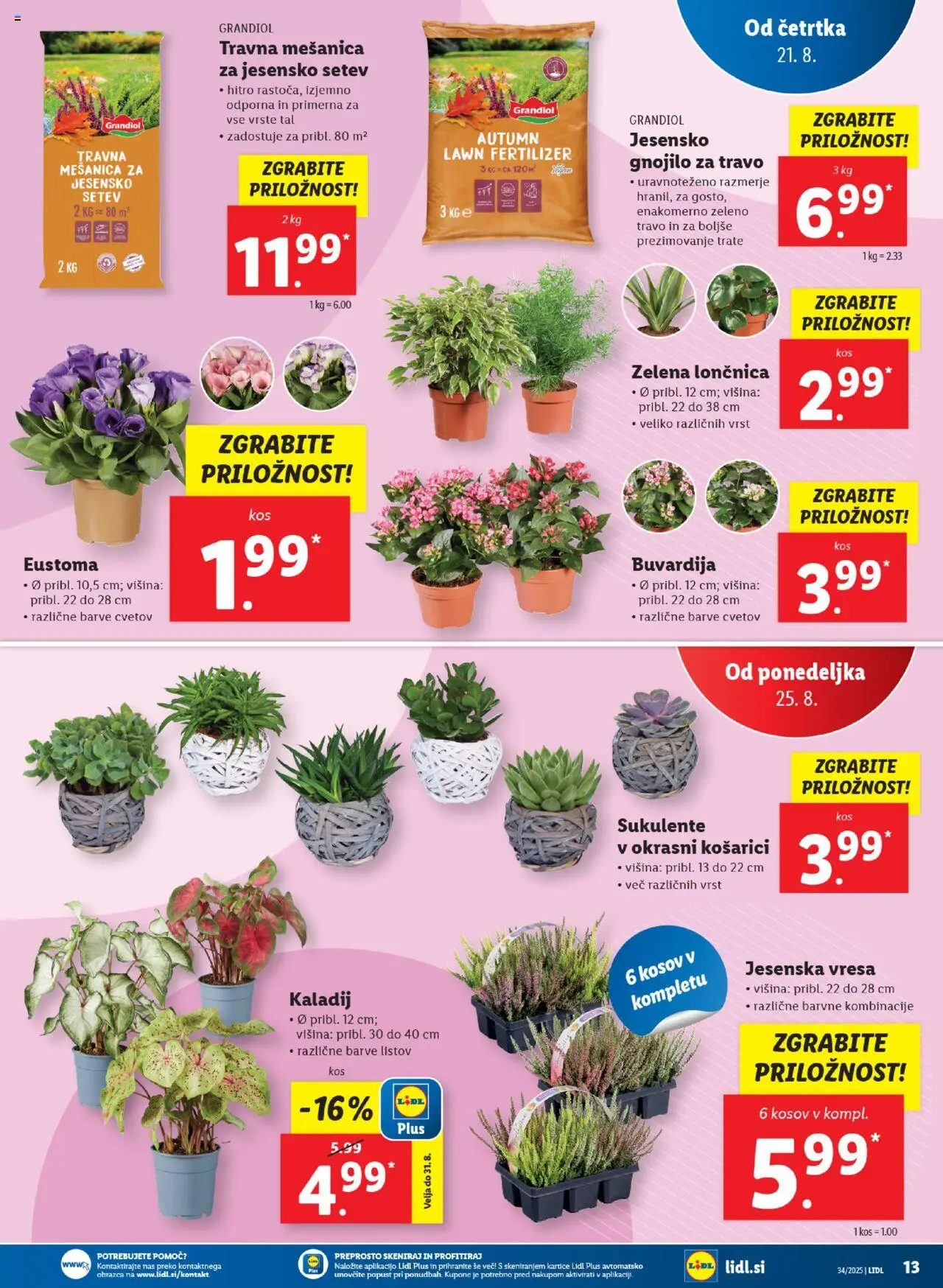 Lidl katalog │ velja od 21.08.2025 | Stran: 27 | Izdelki: Kos, Zelena