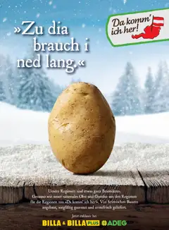 Billa  Frisch Gekocht ab 01.01.2026 gültig | Seite: 46