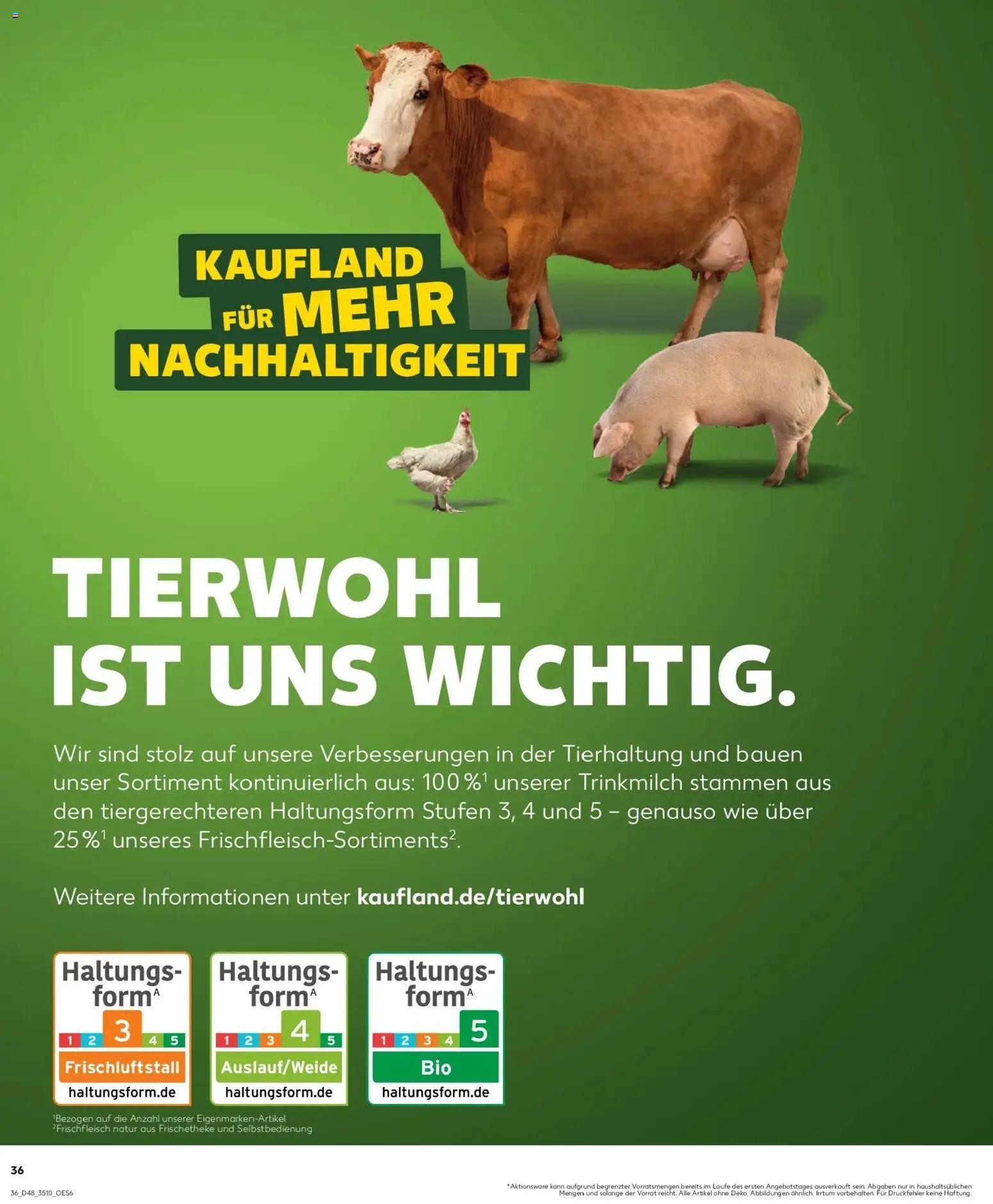 Kaufland prospekt Meißen	 – gültig ab 27.11.2025 | Seite: 36