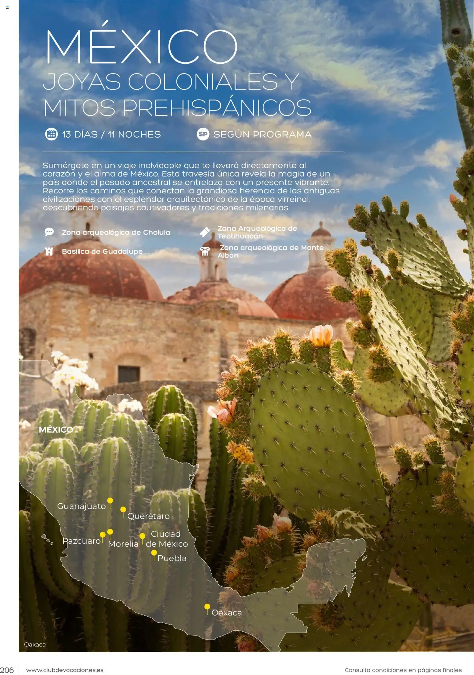 Viajes El Corte Inglés Club de Vacaciones │ válido desde el 01.02.2026 | Página: 206 | Productos: Té