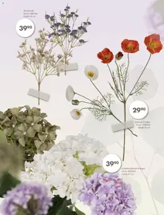 Forhåndsvisning av Spar Kjøp - Evige blomster gyldig fra 01.09.2025 | Side: 4