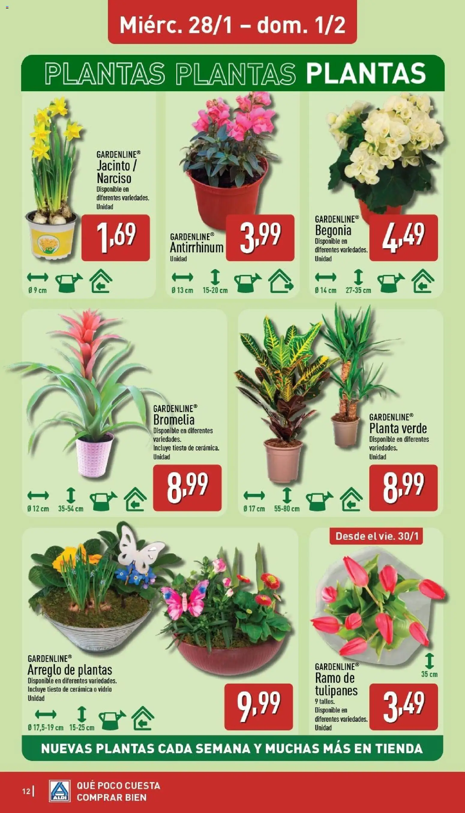 Aldi folleto Baleares │ válido desde el 26.01.2026 | Página: 12