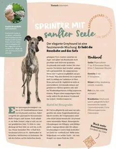 Fressnapf Friends Magazin – gültig ab 01.09.2025 | Seite: 34 | Produkte: Gewicht, Sofa, Mantel