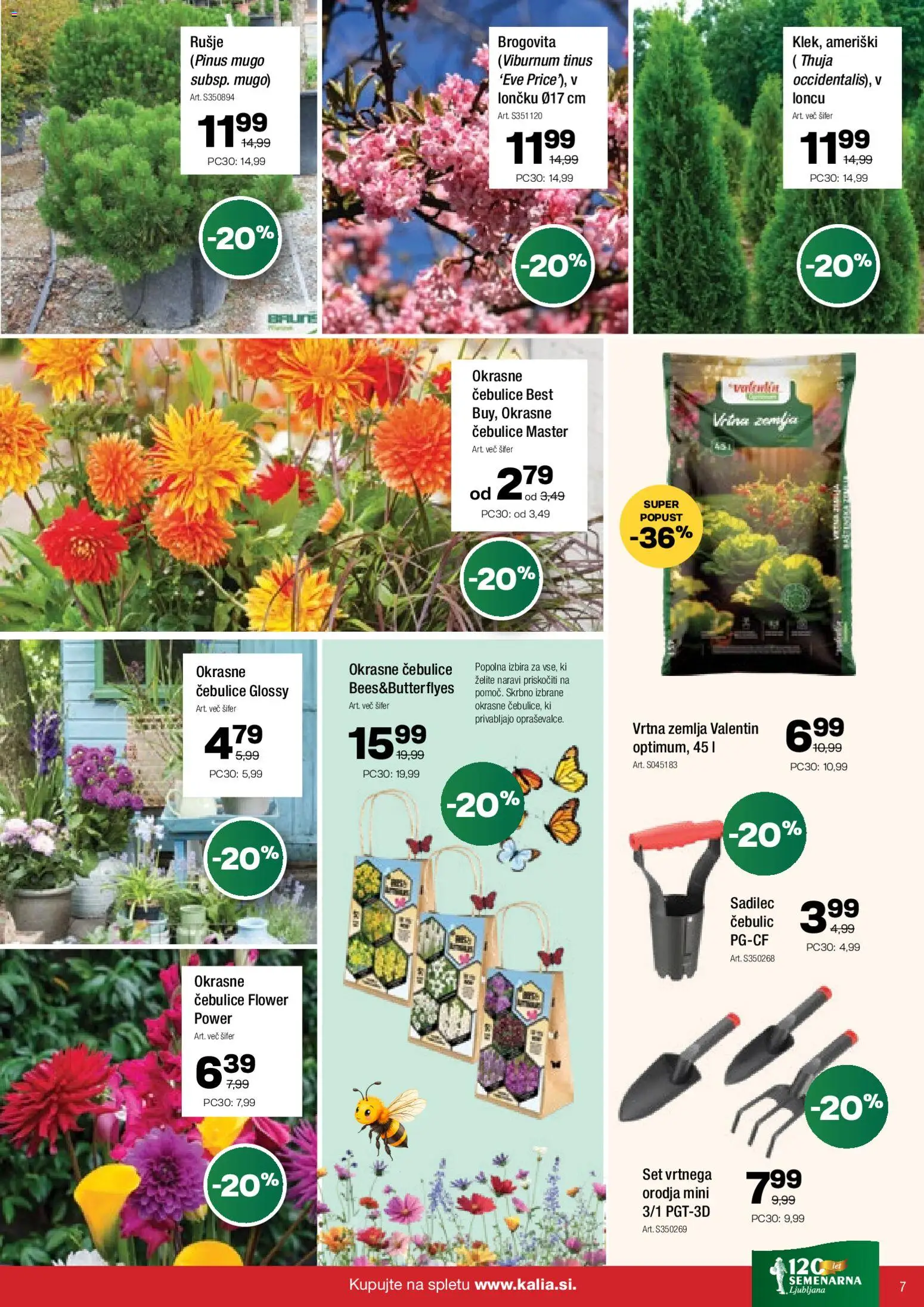 Novi Kalia katalog ponudbe – veljaven od 09.02.2026 | Stran: 7 | Izdelki: Žemlja