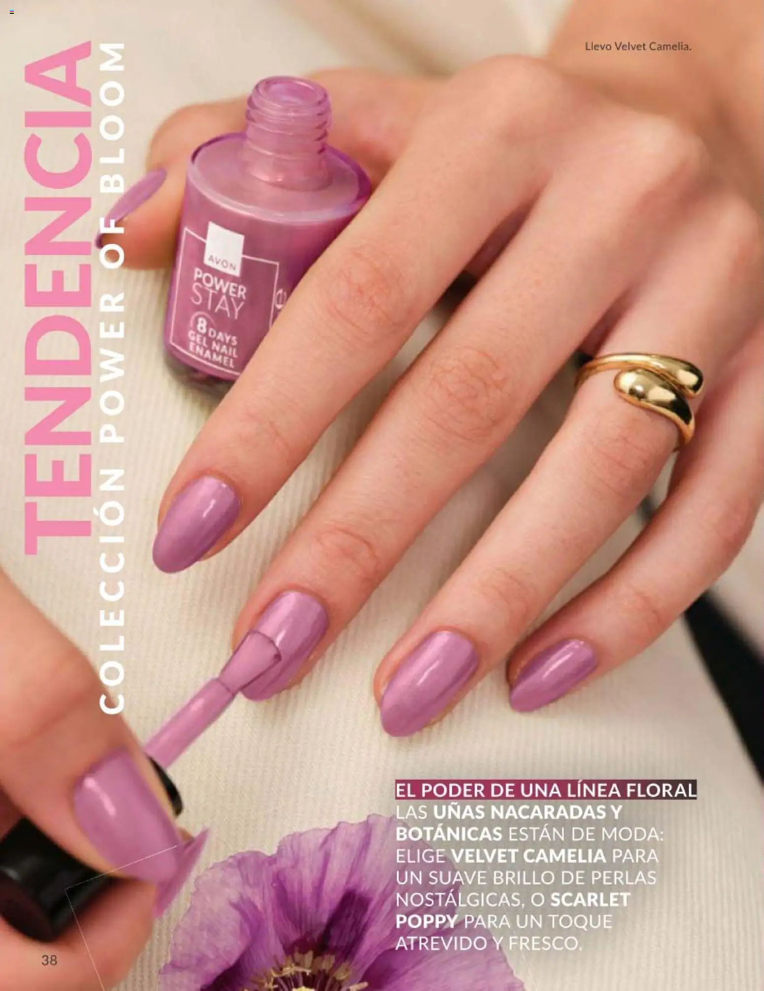 Catálogo AVON campaña 5 │ válido desde el 01.05.2026 | Página: 38