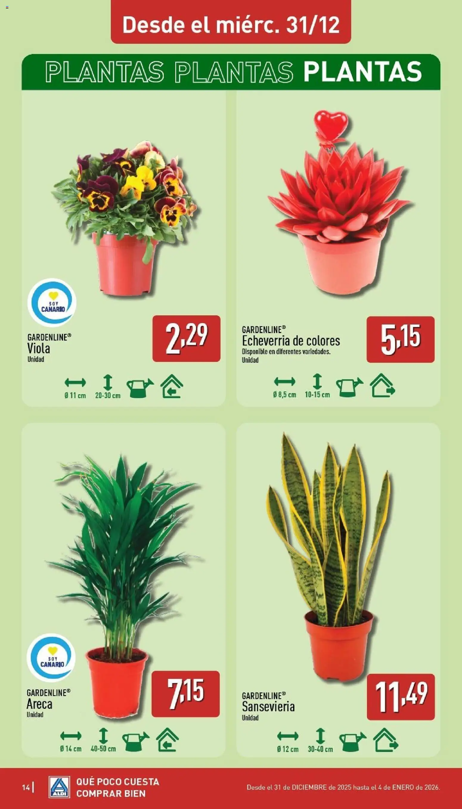 Aldi folleto Canarias │ válido desde el 29.12.2025 | Página: 14