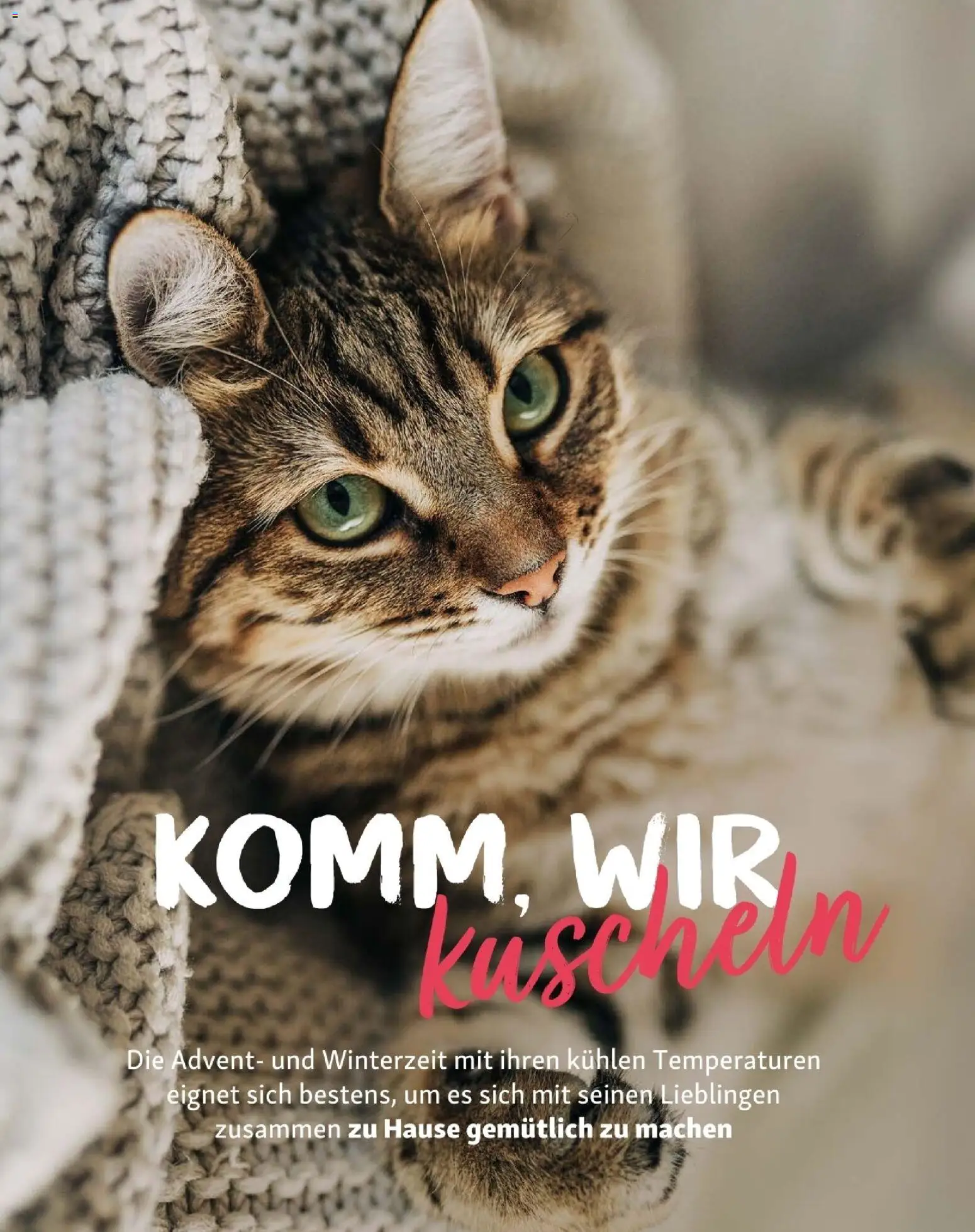 Fressnapf Friends 06/25 gültig ab 01.11.2025 | Seite: 10