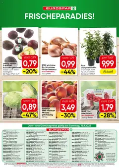 Eurospar Flugblatt - Oberösterreich gültig ab 11.09.2025 | Seite: 16 | Produkte: Obst, Kraut, Bad
