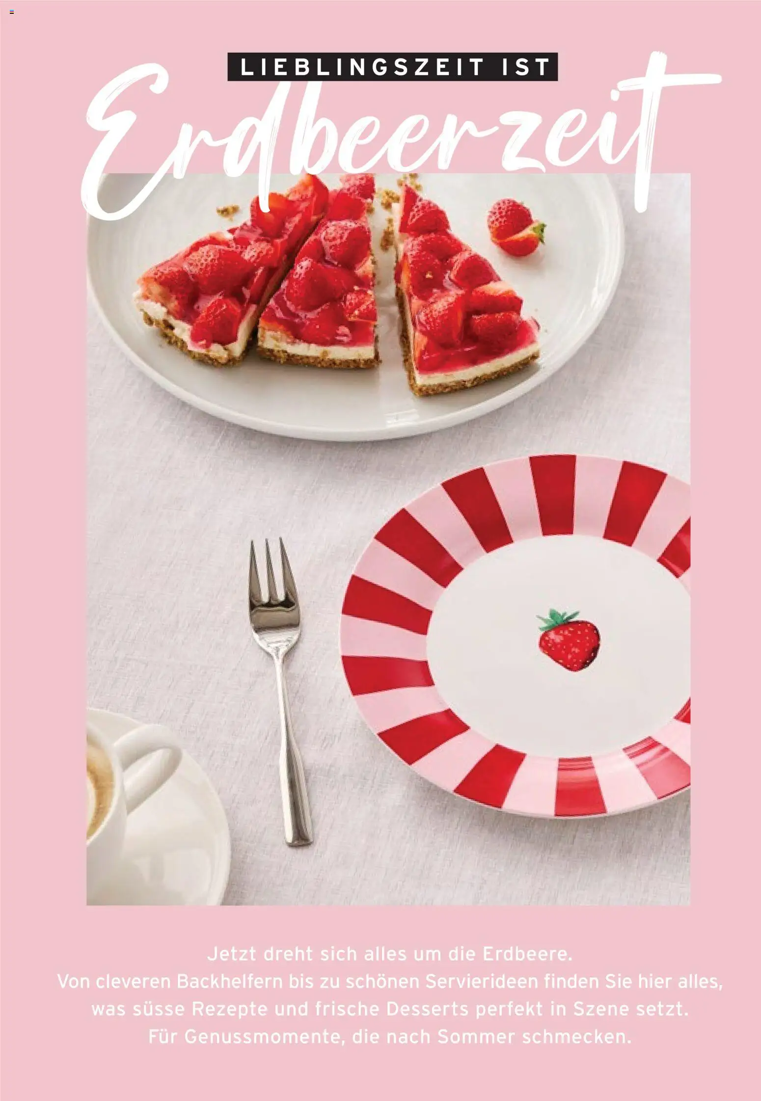 Tchibo aktionen Reisen leicht gemacht – gültig ab 28.04.2026 | Seite: 26