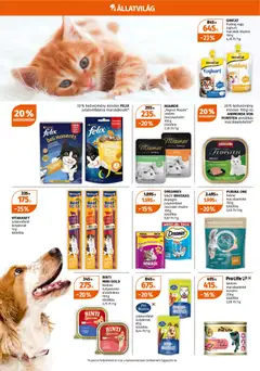 Müller Akciós újság - amely érvényes a következő dátumtól: 05.01.2026 | Oldal: 8 | Termékek: Puding, Kutyaeledel, Purina one, Whiskas